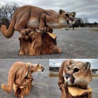 amazing