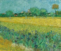 Vincent van Gogh 161