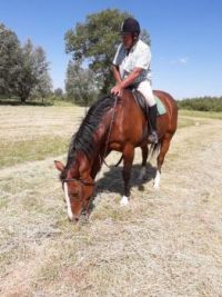 Horseman, 83 years old!