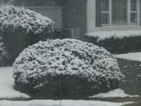 Let It Snow...