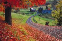 Fall-foliage-Vermont-Large-780x521