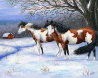Horses winter.
