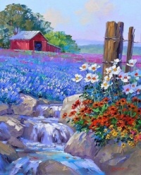 lavender fields (resize 12 to 195)