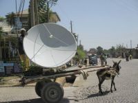 Satelite-donkey in Ethiopia
