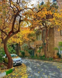 Autumn in Tehran