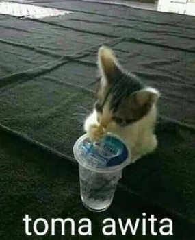 Drink water, stay hydrated!