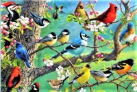 Birds in an Orchard