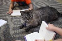 Browser the Cat sitting among Children at Texas library