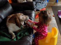 brooklyn and frogger