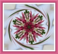 A Flower Kaleido From Long Ago.  Larger.