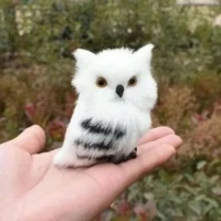 baby snow owl
