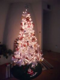 My Christmas Tree 2012