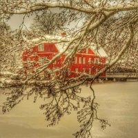 The house near the pond