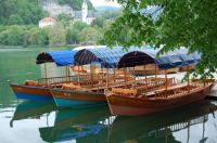 Lake Bled boats