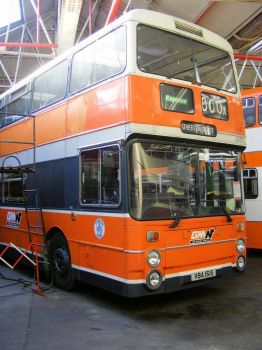Big Orange Bus--Smaller Size