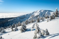 Krkonoše 3