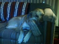 exhausted