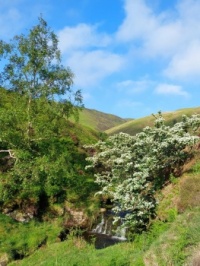 Blackden Brook
