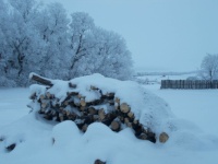 The Woodpile.