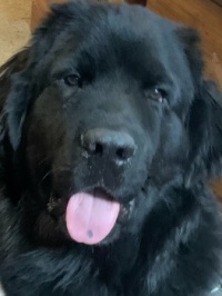 Mason