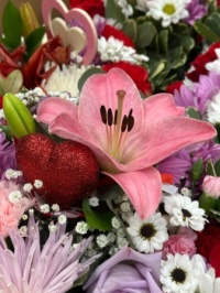 Happy Valentine's Day