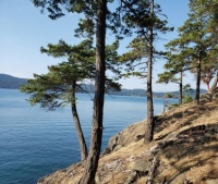 Mayne Island