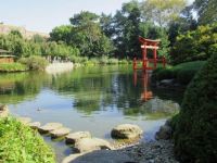 The peaceful Japanese Garden