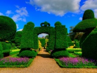 England_Levens Hall Topiary Garden Kendal