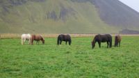 ISLANDIA