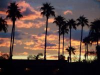 Palm Springs Sunrise