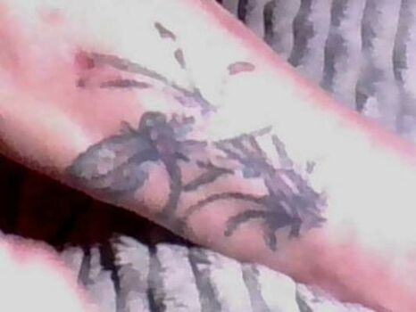 my dragonfly tattoo