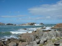 NZ - seascape