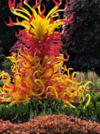 Chihuly at the Biltmore