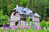 Zirkel, house surrounded by lupines