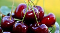 cherry_fruits