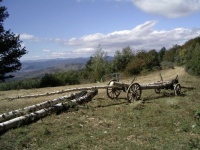 Rural landscape
