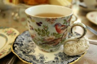 Tea With A Robin Cup