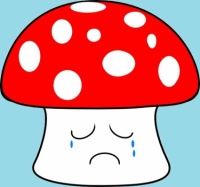 CA 1211 - sad mushroom