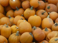 Pumpkins