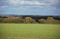 Autumn countryside