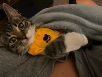Lacey the Baby!