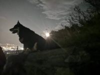 Serata di luna piena