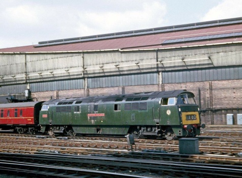 Solve Class 52 Diesel Hydraulic D1002 Western Explorer Jigsaw Puzzle 