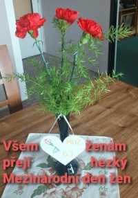 VŠEM ŽENÁM ....