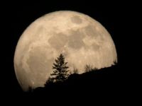 Interesting Moonrise
