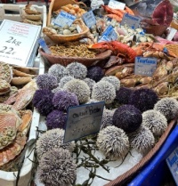 Sea food in France