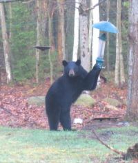 Just checkin' it out...