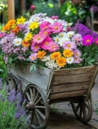 Flowers for today :-)