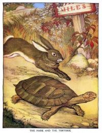 The Tortoise  &  the Hare