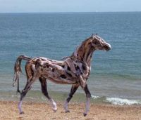 DRIFTWOOD HORSES #3